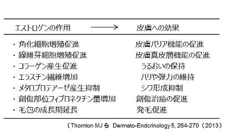 表1）女性ホルモン（エストロゲン）の皮膚における作用