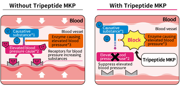 Tripeptide MKP