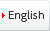 ENGLISH