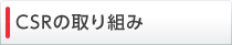 csr�̎��g��