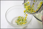 recipe_400_advice_1_1