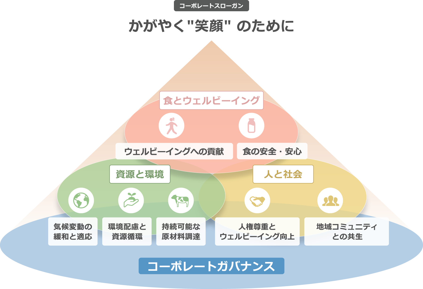 サス活動体系