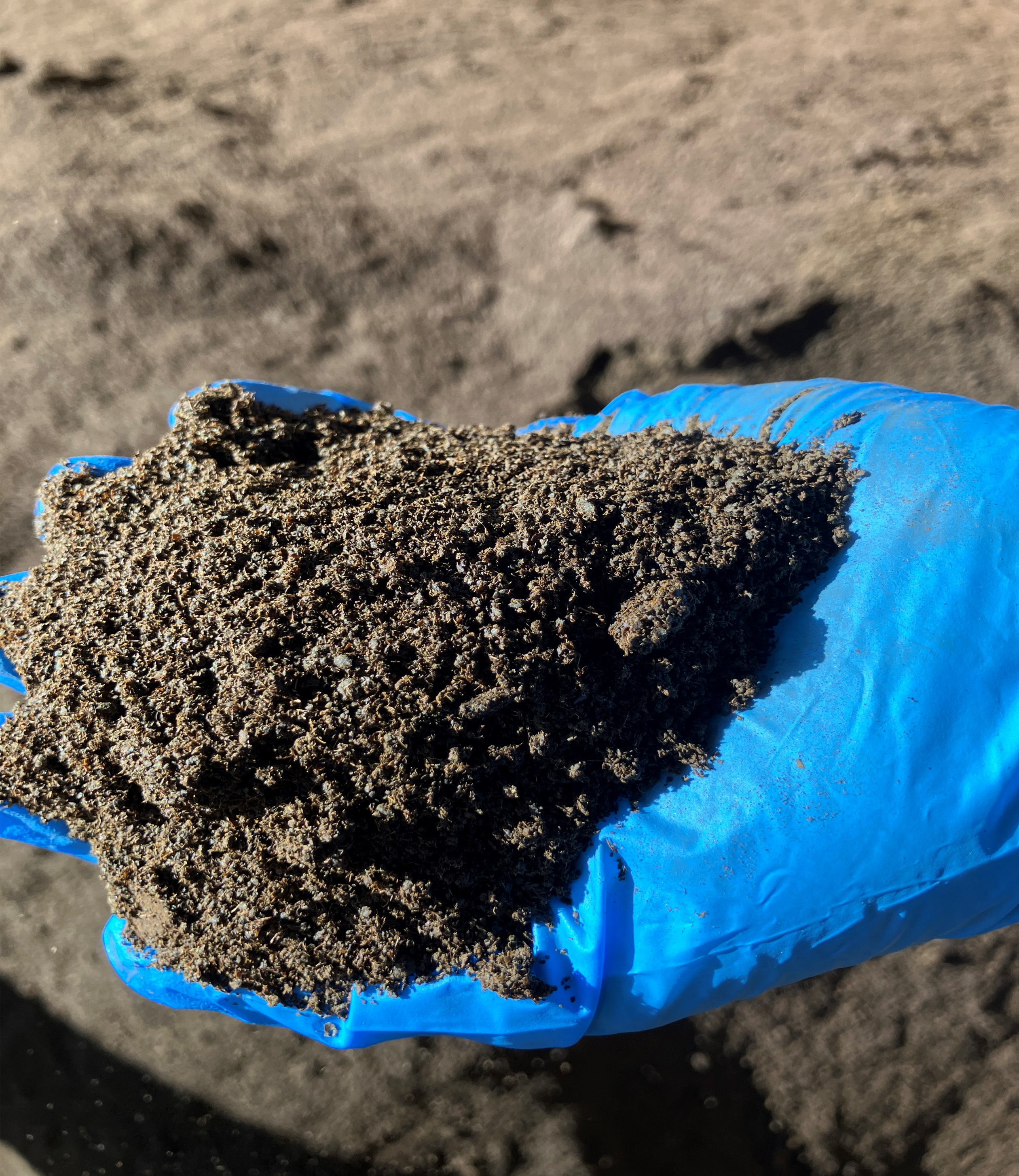 乾燥加工後の紅茶粕