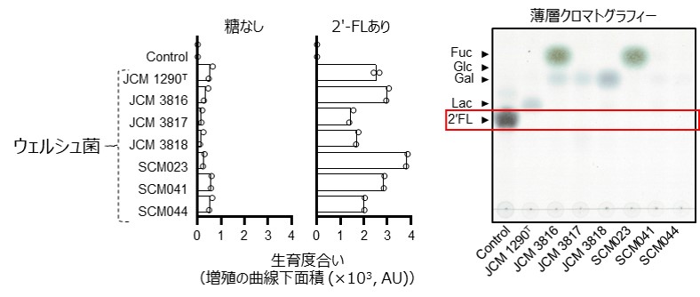 図1