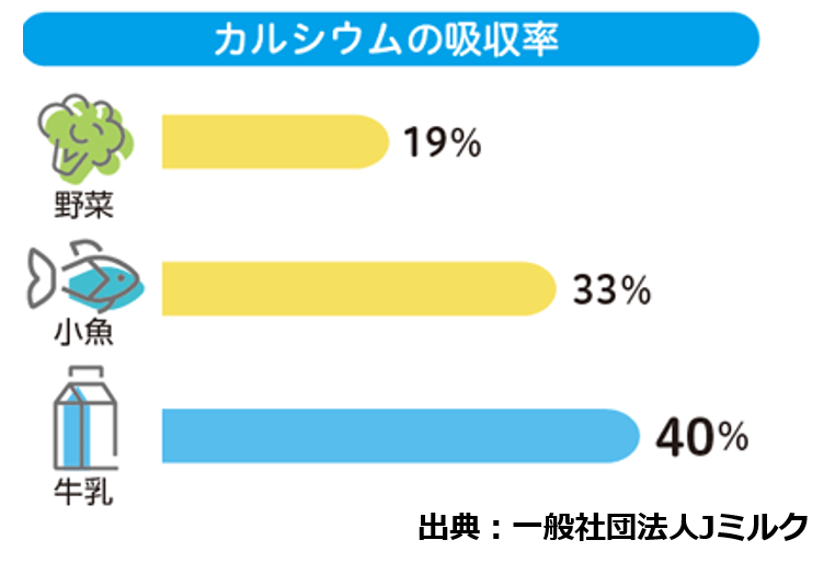 カルシウムの吸収