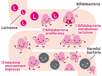 intestinal bacteria