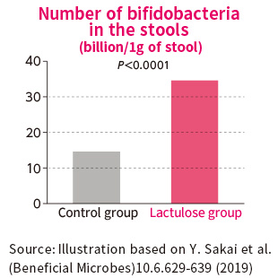 Number of bifidobacteria in the intestine