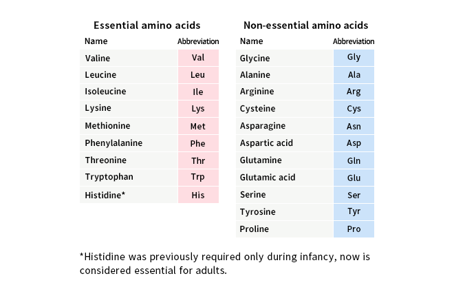 Types of amino acids