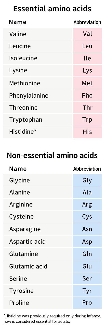 Types of amino acids