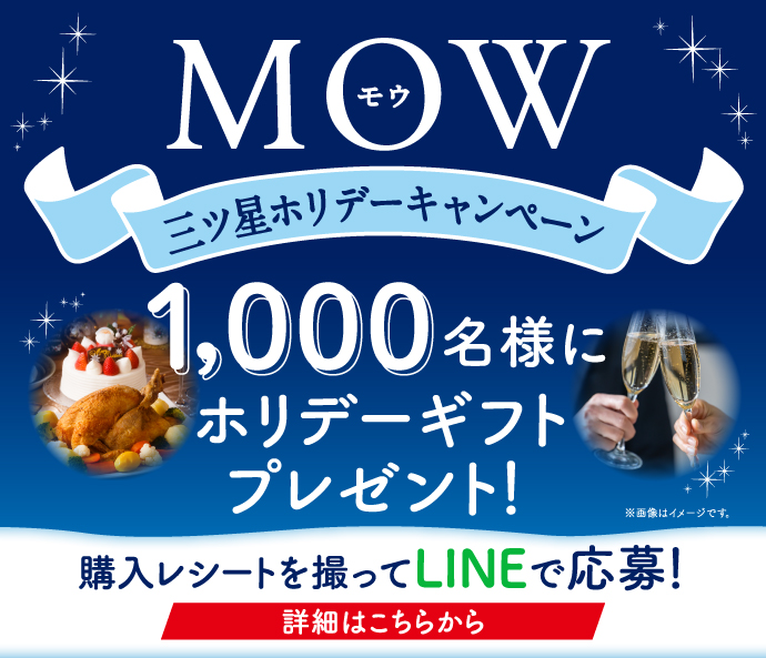 ＭＯＷ(モウ)バニラ | アイスクリーム | 商品紹介 | 森永乳業株式会社