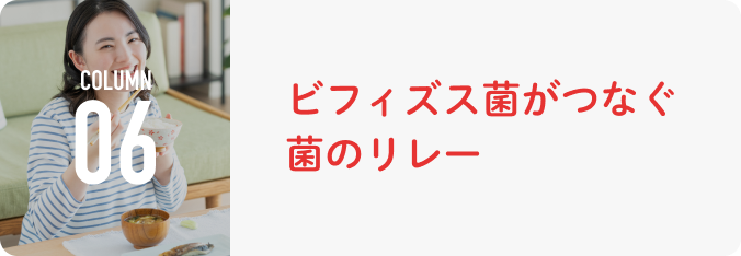 COLUMN 06 ビフィズス菌がつなぐ菌のリレー
