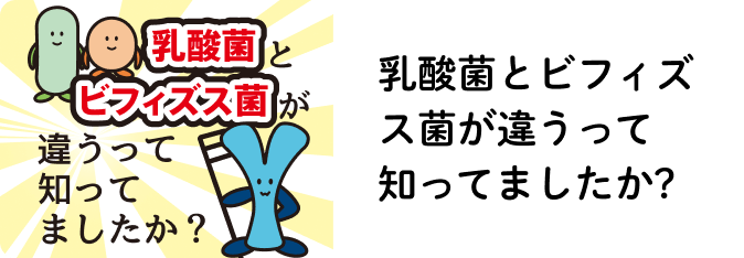 乳酸菌とビフィズス菌が違うって知ってましたか?