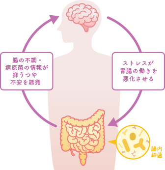 図：脳腸相関
