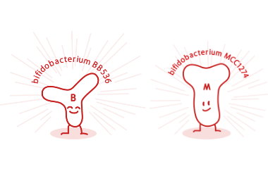 bifidobacterium BB536 MCC1274