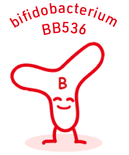 bifidobacterium BB536