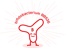 bifidobacterium BB536