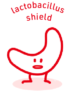lactobacillus shield