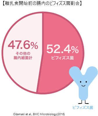 離乳食開始前の腸内のビフィズス菌割合 52.4%ビフィズス菌 47.6%その他の腸内細菌計 ビフィズス菌 Odamaki et al., BMC Microbiology(2016))