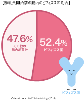 離乳食開始前の腸内のビフィズス菌割合 52.4%ビフィズス菌 47.6%その他の腸内細菌計 ビフィズス菌 Odamaki et al., BMC Microbiology（2016））