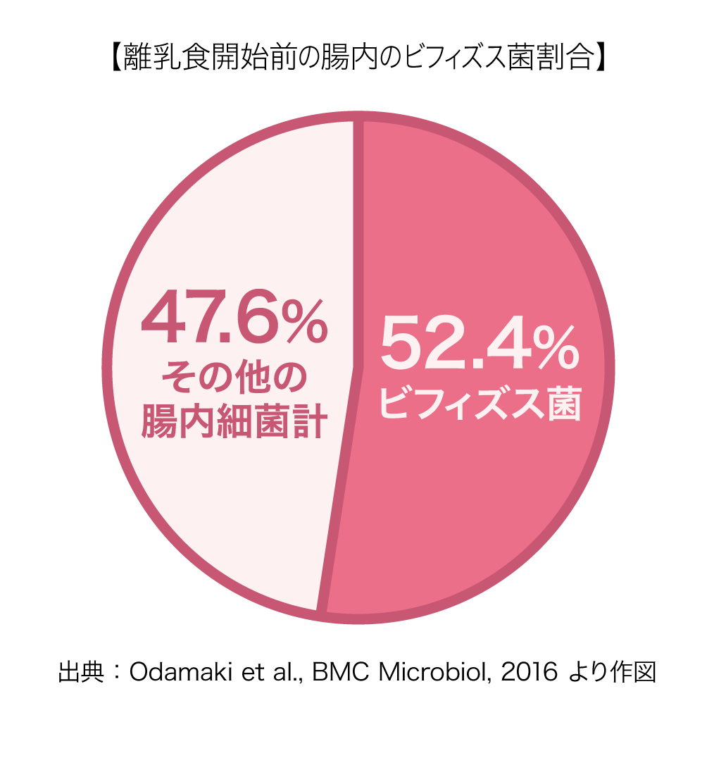 離乳食開始前の腸内のビフィズス菌割合 52.4%ビフィズス菌 47.6%その他の腸内細菌計 ビフィズス菌 Odamaki et al., BMC Microbiology（2016））