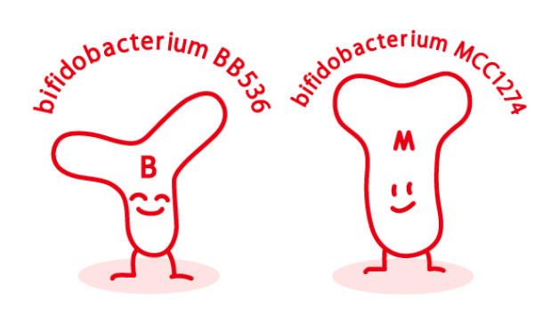 bb536 mcc1274