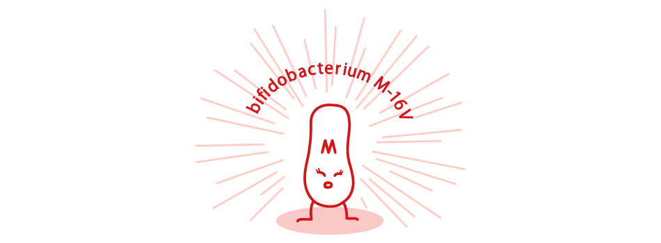 bifidobacterium M-16V