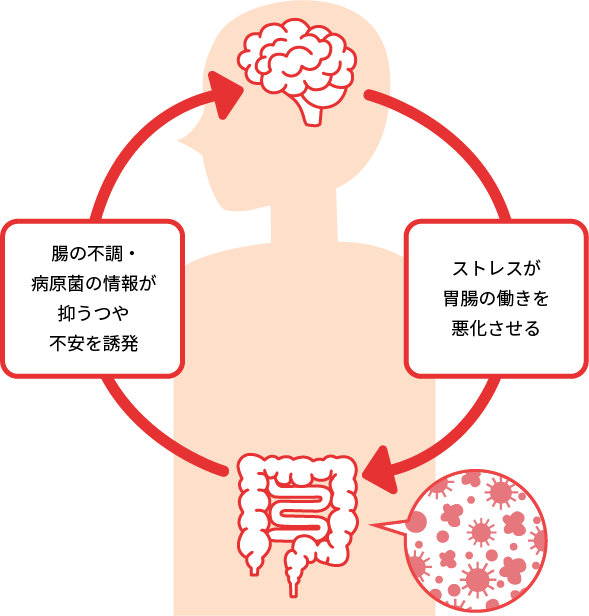 腸の不調・病原菌の情報が抑うつや不安を誘発 → ストレスが胃腸の働きを悪化させる