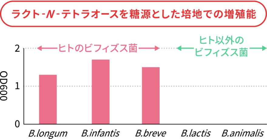 ラクト-N-テトラオースを糖源とした培地での増殖能