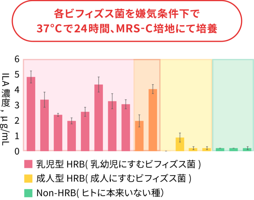 各ビフィズス菌を嫌気条件下で37 °Cで24時間、MRS-C培地にて培養