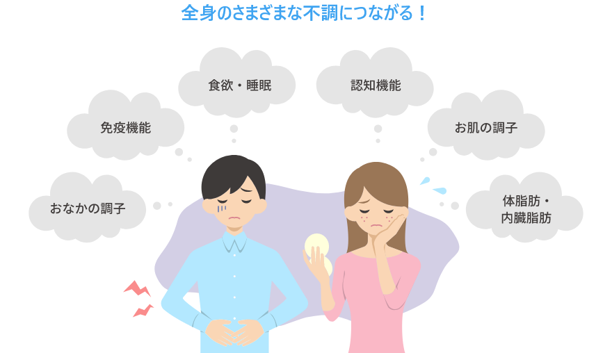 全身のさまざまな不調につながる！ おなかの調子 免疫機能 食欲・睡眠 認知機能 お肌の調子 体脂肪・内臓脂肪