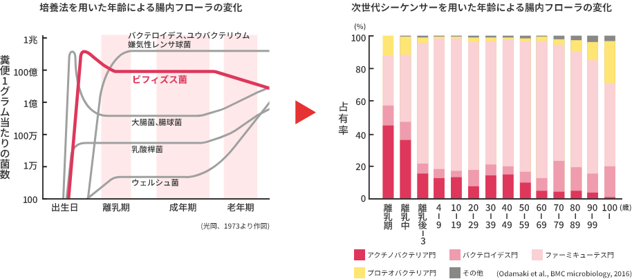 培養法を用いた年齢による腸内フローラの変化 次世代シーケンサーを用いた年齢による腸内フローラの変化