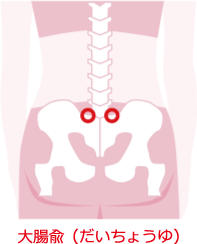 大腸兪（だいちょうゆ）