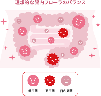 まいにち乳life｜腸内フローラのヒミツ｜森永乳業株式会社