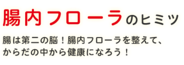 腸内フローラのヒミツ腸は第二の脳！腸内フローラを整えて、からだの中から健康になろう！