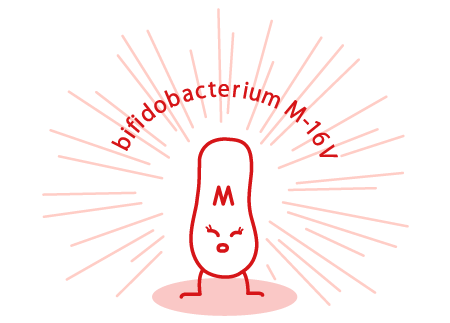 bifidobacterium M-16V