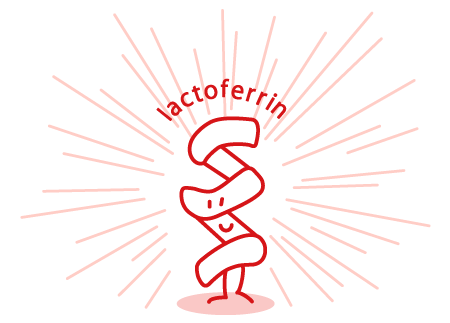 lactoferrin