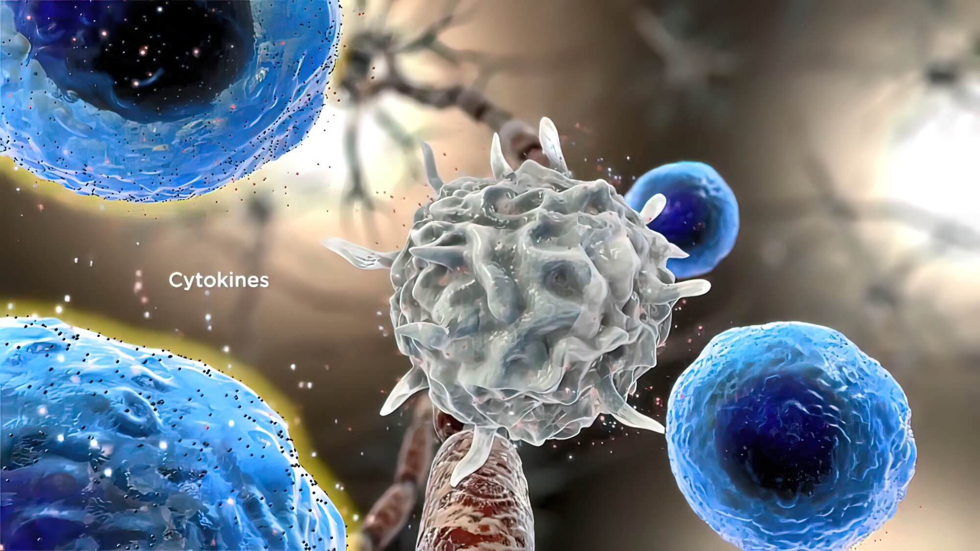 免疫細胞の働き