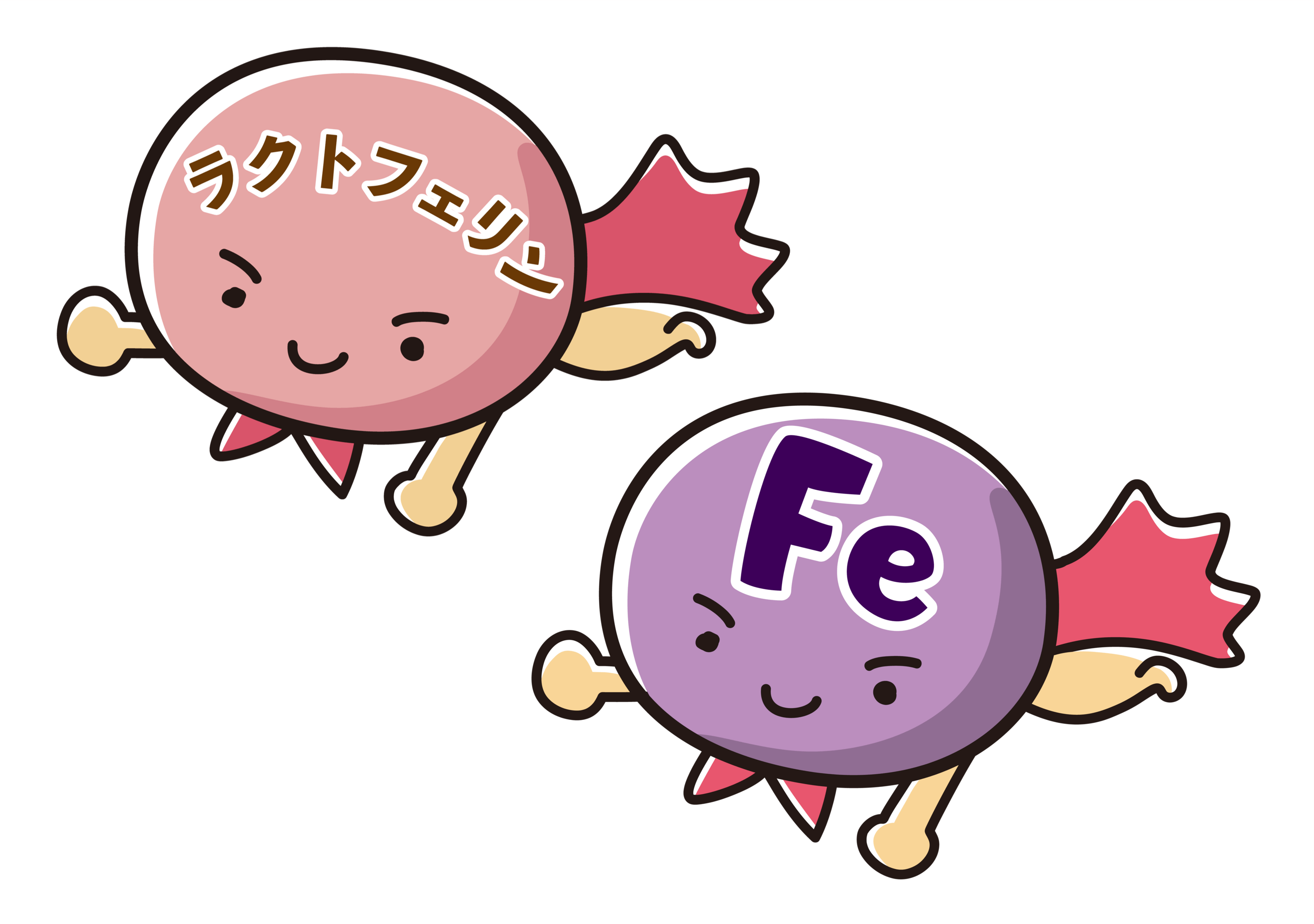 ラクトフェリンの特徴と2つの作用