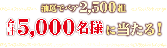 抽選でペア2,500組 合計5,000名様に当たる！