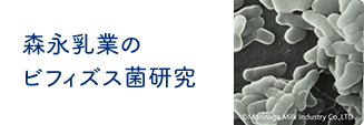 森永乳業のビフィズス菌研究