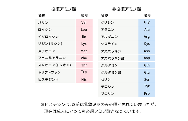 アミノ酸の種類