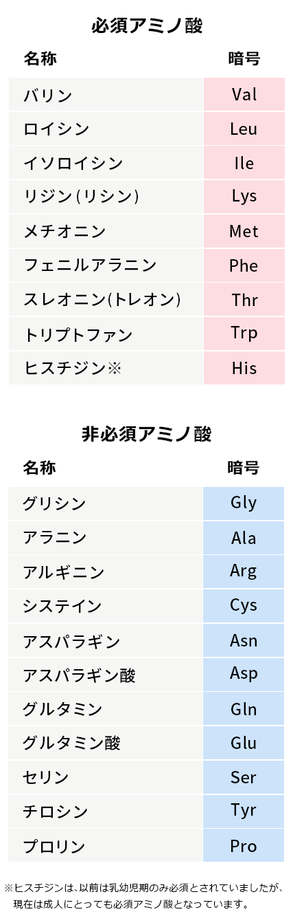 アミノ酸の種類