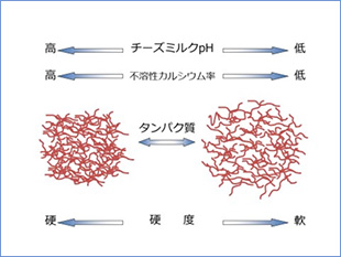 （図2）