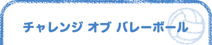 チャレンジ オブ バレーボール