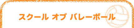 スクール オブ バレーボール