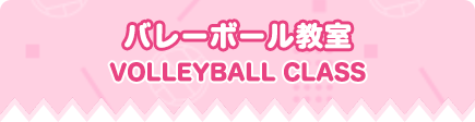 バレーボール教室 VOLLEYBOLL CLASS