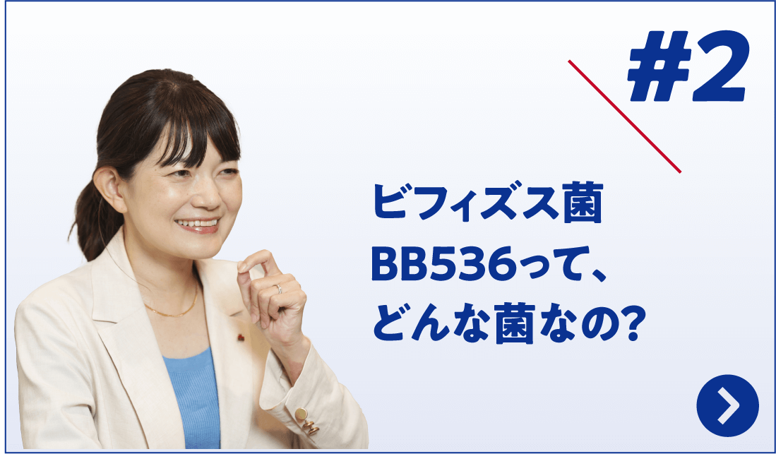 Part2 ビフィズス菌BB536って、どんな菌なの？
