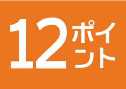 12ポイント商品