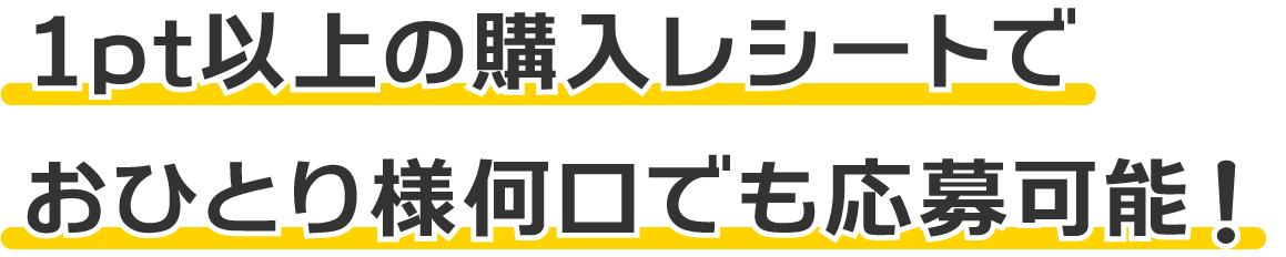 1pt以上の購入レシートで何口でも応募可能！