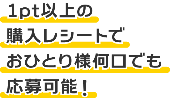 1pt以上の購入レシートで何口でも応募可能！